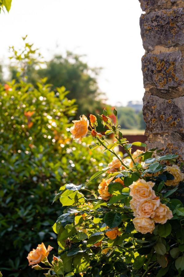 Les P'Tits Velos Bed and Breakfast Chandolas Esterno foto