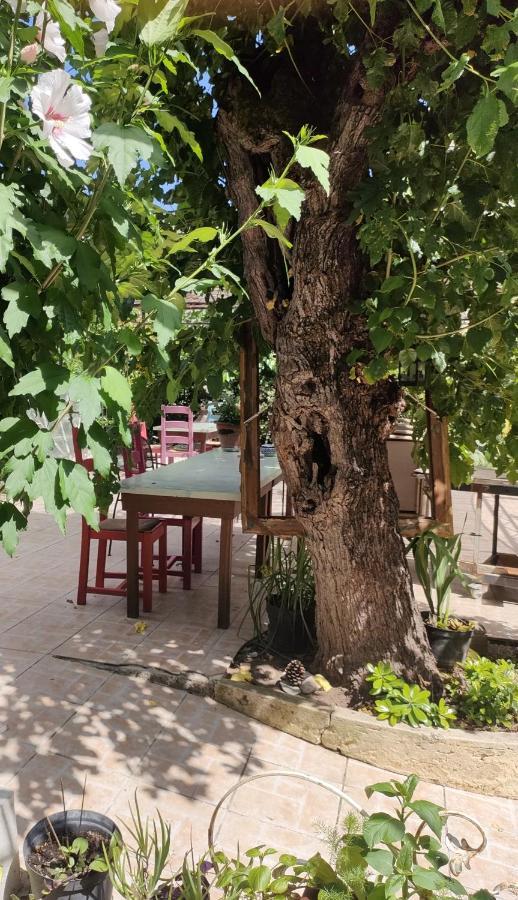 Les P'Tits Velos Bed and Breakfast Chandolas Esterno foto