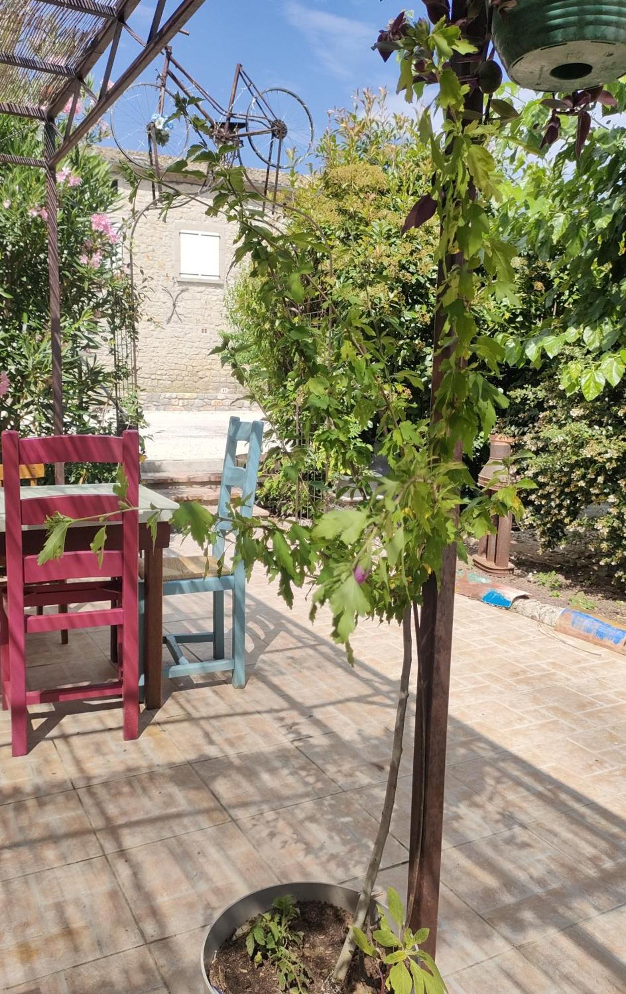 Les P'Tits Velos Bed and Breakfast Chandolas Esterno foto