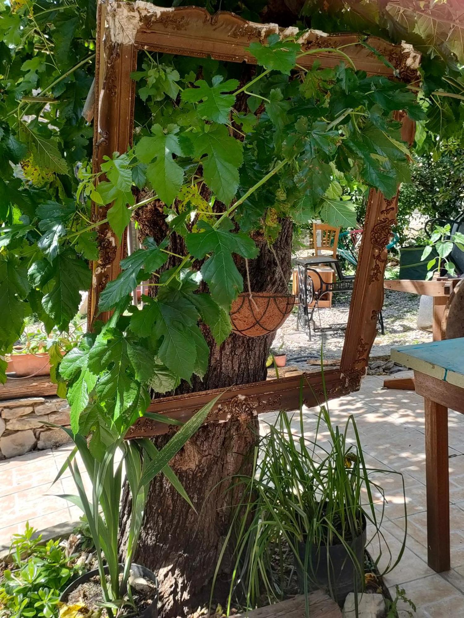 Les P'Tits Velos Bed and Breakfast Chandolas Esterno foto
